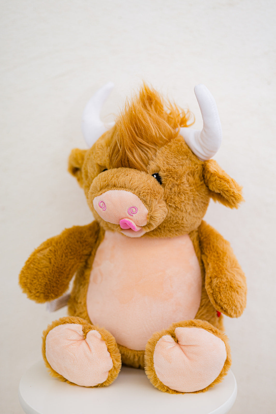highland cow