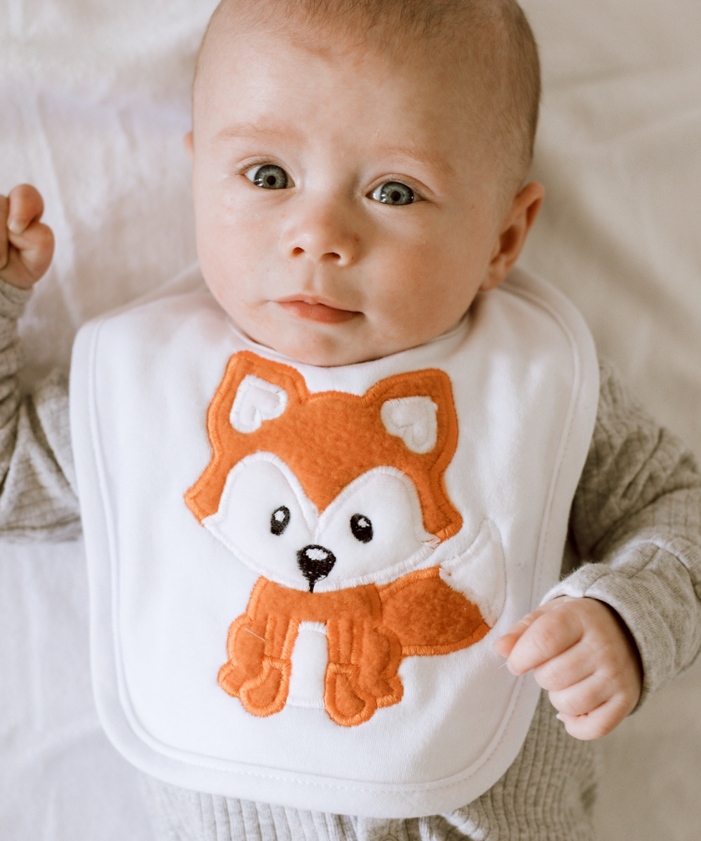 Bib and Burp Cloth Collection